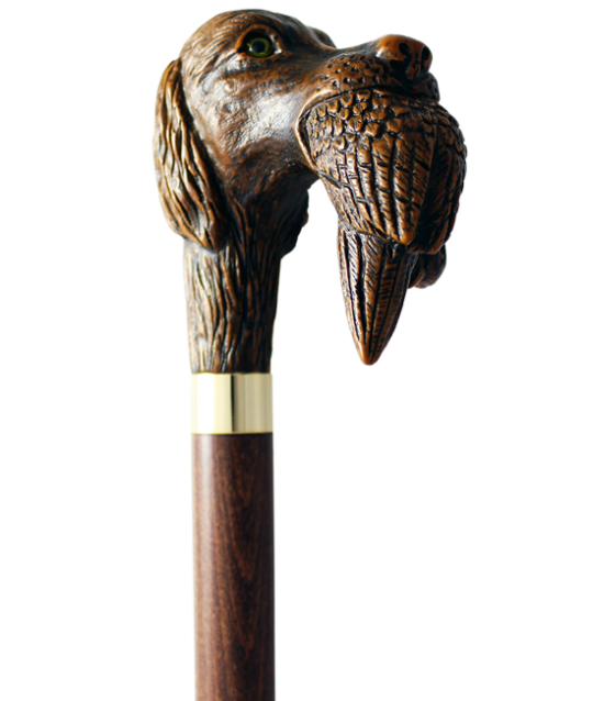 Canne chien de chasse