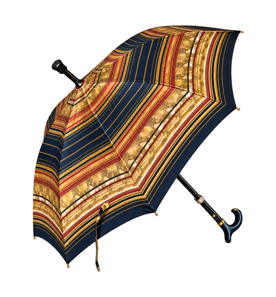 Parapluie-canne Phoenix – réglable, toile satinée – vue complète sur fond transparent