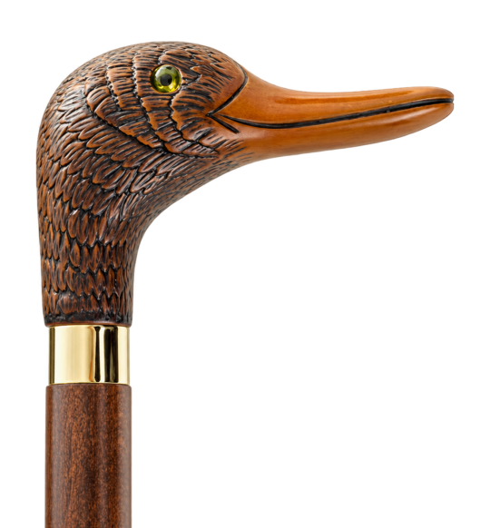 Canne de collection à tête de canard, fût en bois sur fond transparent