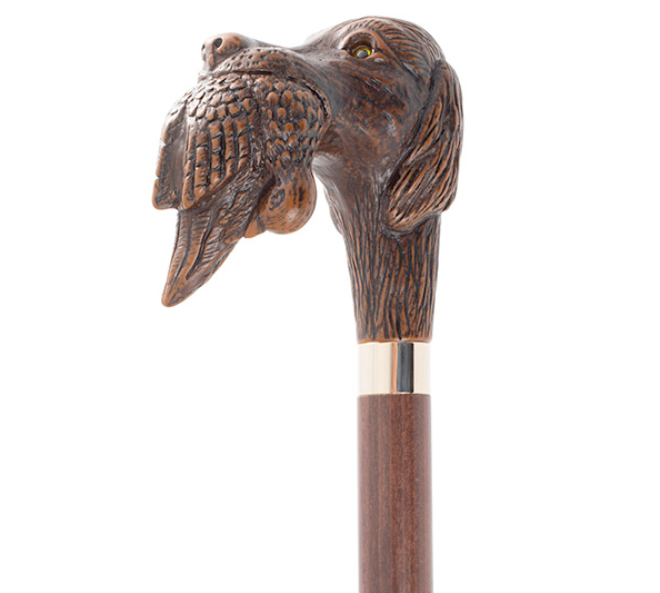 canne chiende chasse